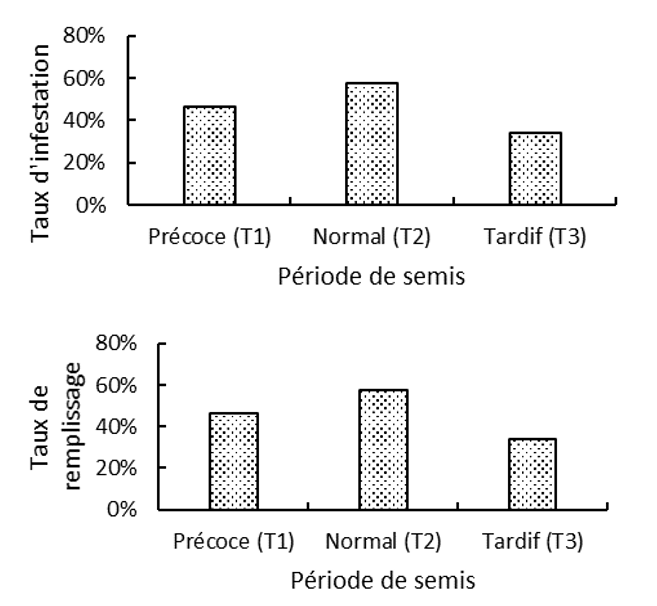 Armyworm infestation rates and filling rate of maize cobs according to sowing dates